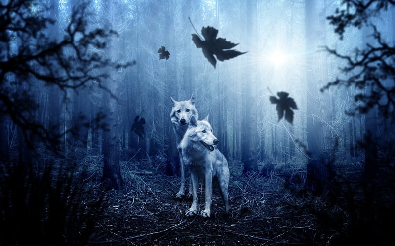 Forest Serenity